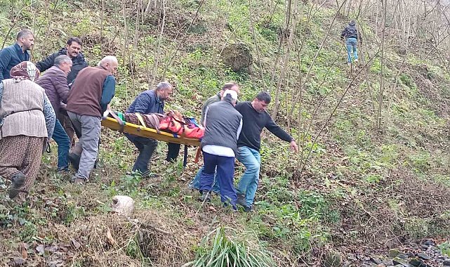 Trabzon'da otomobil dereye uçtu: 2 yaralı