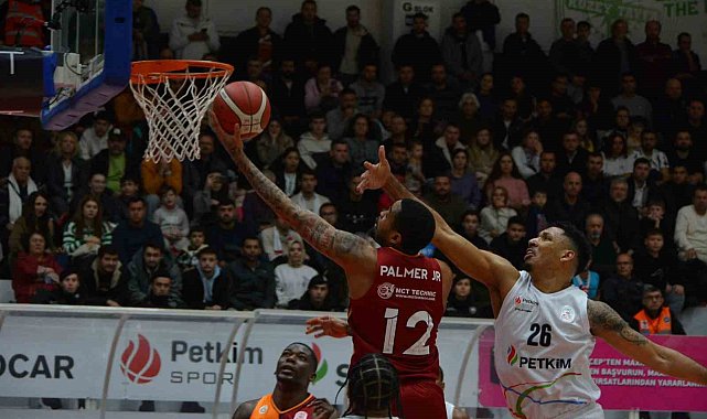Türkiye Sigorta Basketbol Süper Ligi: Aliağa Petkimspor: 77 - Galatasaray: 94