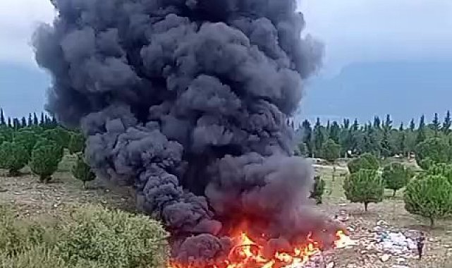 Tutuşturulan kaçak atıklar az daha ormanı yakıyordu