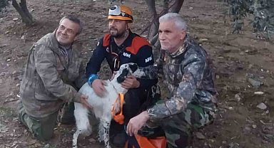 Uçurumda mahsur kalan av köpeğini Aydın AFAD kurtardı