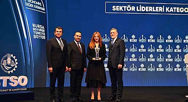 Uludağ Elektrik 2024 yılını sektör lideri ödülüyle kapattı