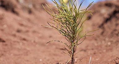 Uludağ Elektrik dijitalleşme çalışmalarıyla doğaya katkı sağlıyor