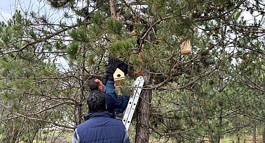 Üniversite öğrencileri kampüsü kuş yuvaları ile donattı
