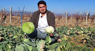 Üniversiteyi bitiren genç köyünde yetiştirilmeyeni üretti