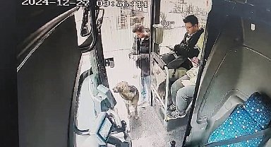 Yağmurdan kaçan köpek çareyi otobüse sığınmakta buldu