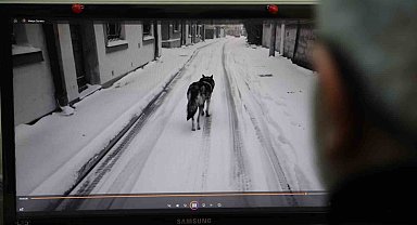 Yapay zekâ teknolojisi 2025'te kaosa neden olabilir