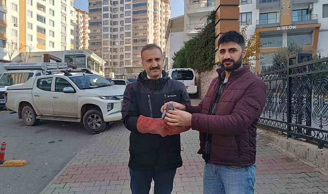 Yaralı güvercin Doğa Koruma Milli Parklar ekiplerine teslim edildi