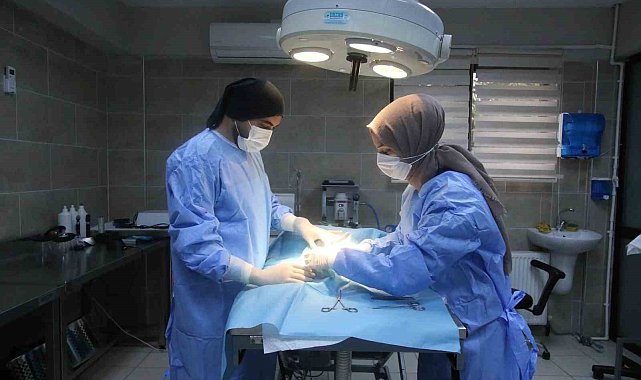 Yaralı halde bulunmuştu, adını portakal koydular