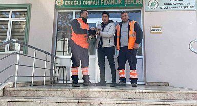Yaralı şahin doğa koruma ekiplerine teslim edildi