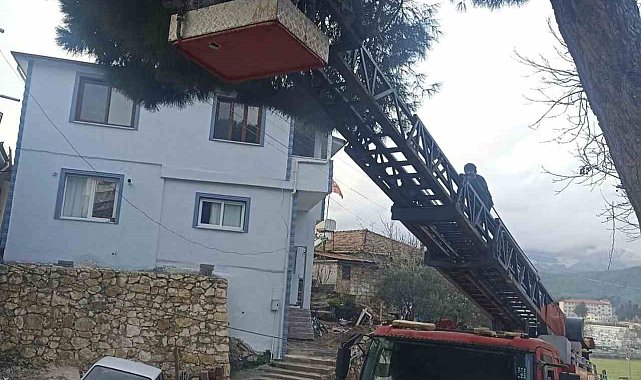 Yayladağı'nda ağaçta mahsur kalan kediyi itfaiye kurtardı