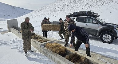 Yılkı atları için karla kaplı Akdağ'a saman taşıdılar