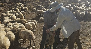 Yüksekova'da 62 köyde aşı ve kimliklendirme çalışması yapıldı