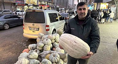 Yüksekova'da kışın vazgeçilmezi: Bal kabak