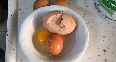 Yumurtadan yumurta çıktı