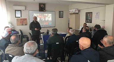 Zeytin ağaçları küllerinden doğup yeşeriyor