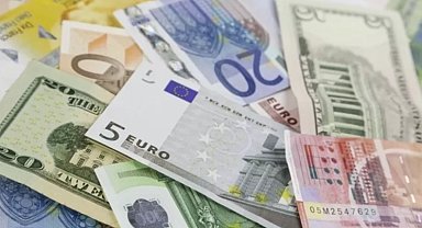 2024 yılına ilişkin esas kurlar 'Resmi'leşti