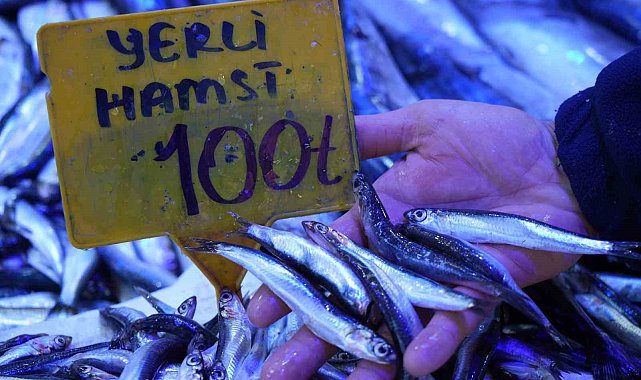2024'te 200 TL olan hamsi 2025'te 100 TL'den satılıyor