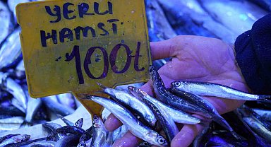 2024'te 200 TL olan hamsi 2025'te 100 TL'den satılıyor