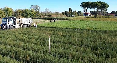 'Yeşil Vatan'a yılda 10 milyon fidan