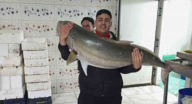 50 kiloluk Akya balığını 2 kişi, 2 saatlik mücadeleyle yakalamayı başardı