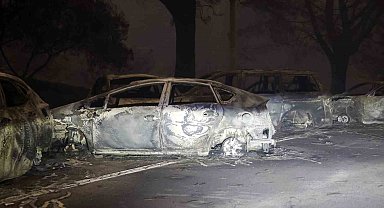 ABD'deki orman yangınlarında can kaybı 5'e yükseldi