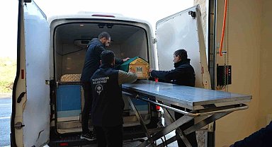 Acılara ortak oldular