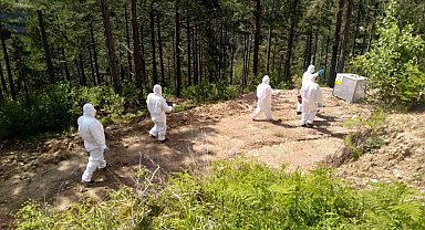 Adana'da 2024 yılında 26 bin 488 faydalı böcek üretildi