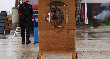 Afetlerde umut ışığı: "Hera" ve kızı "İglo"nun eğitimi göz dolduruyor