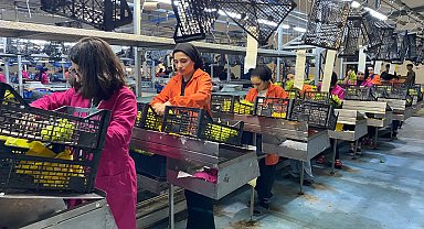 Alaşehir Gümrüğünden 69 ülkeye ihracat