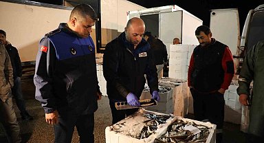 Altınordu Balık Hali'nde sıkı denetim