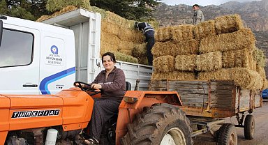 Antalya Elmalı Yuva'da saman desteği afetzedelerin yüzünü güldürdü