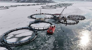 Antarktika değil Erzincan; Belgeselleri aratmayan görüntülerle buz tutan gölde balıkçılık serüveni