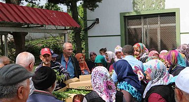 Atakum'da çiftçiye 30 bin sebze fidesi ve tohum desteği
