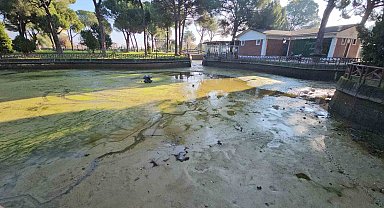Aydın Büyükşehir'den Sümerpark'ta kapsamlı temizlik ve bakım çalışması