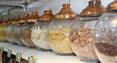 Bağışıklığa doğal kalkan 'kış çayı'