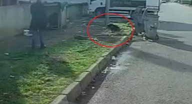 Başıboş köpeğin saldırısına uğradı: O kaçtı, köpek kovaladı