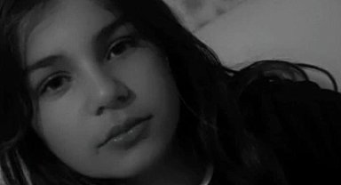 Başıboş köpekler 12 yaşındaki çocuğu katletti! Mülkiye Başmüfettişi görevlendirildi