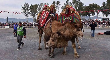 Başkan Kaya'dan yılın ilk deve güreşine davet