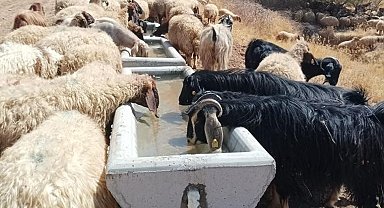 Batman'da otlak alanlarda 440 adet su sıvatı yerleştirildi