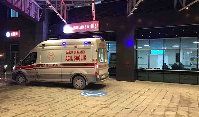 Bilecik'te orta refüje çarpan araçtan bulunan 2 kişi yaralandı
