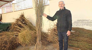 Bin badem fidanı dağıtıldı