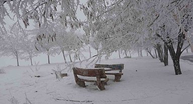 Bitlis'te yoğun sis