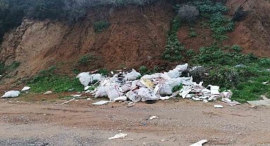 Bodrum'da çevre katliamına 70 bin TL ceza