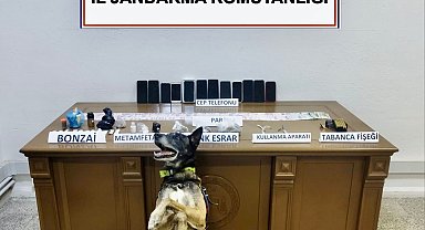 Bodrum'da uyuşturucu operasyonu: 7 tutuklama
