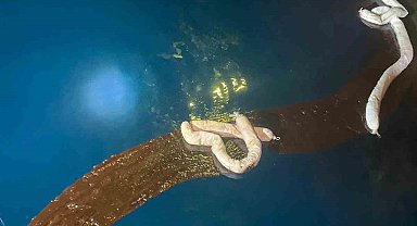 Bozcaada açıklarında slaç basan gemiye 39 milyon TL ceza