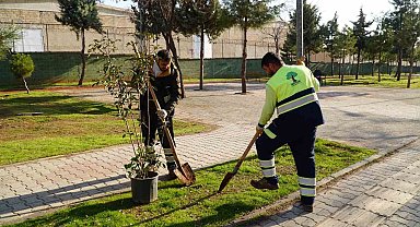 Burak Mahallesi'nde hasret sona erdi