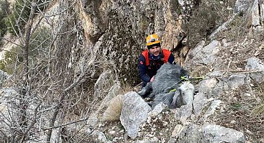 Burdur'da dağlık alanda mahsur kalan keçi kurtarıldı