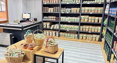 Bursa Gemlik'in zeytinyağları Giresun'da