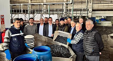 Bursa İznik'te Kaymakam Karaman'dan Zeytin Kooperatifi'ne ziyaret