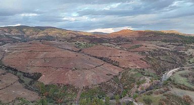 Bursa'da ormanlar küllerinden doğuyor